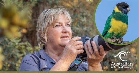 Photographing Birds of the Eyre Peninsula with Fran Solly | Australian Wildlife Journeys