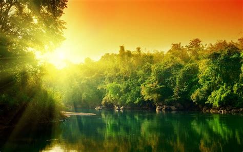 Amazon River Wallpapers - Wallpaper Cave