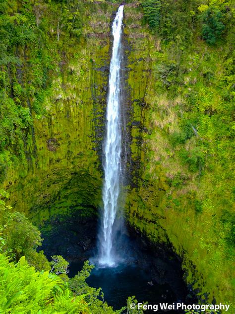 Akaka Falls, Big Island, Hawaii | Akaka Falls is a spectacul… | Flickr