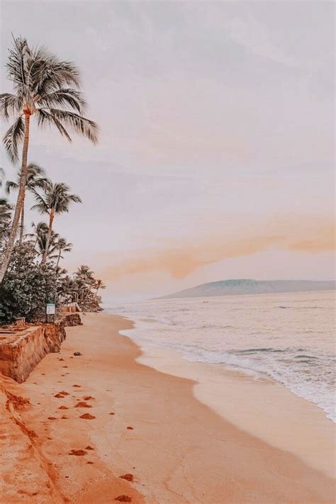 Beach Wallpaper | Beach wall collage, Aesthetic backgrounds, Beach wallpaper