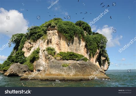 Uninhabited Island In The Haitises Park In The Caribbean Stock Photo 21975616 : Shutterstock