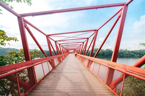 Lorong Halus Wetland: Hidden Dirt Tracks & Sunset Bridge Near Coney Island