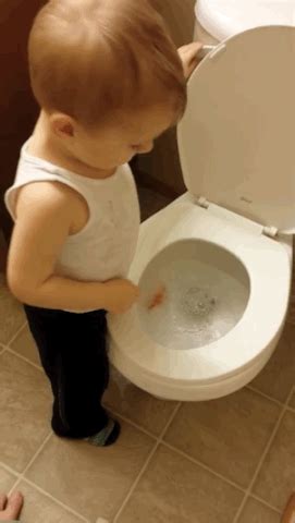 Toilet GIF | GIFs.nl