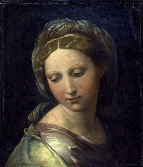 Raffaello Sanzio | Raphael paintings, Portrait, Renaissance art