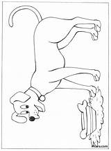 Domestic Animals Coloring Pages – Pitara Kids Network sketch template