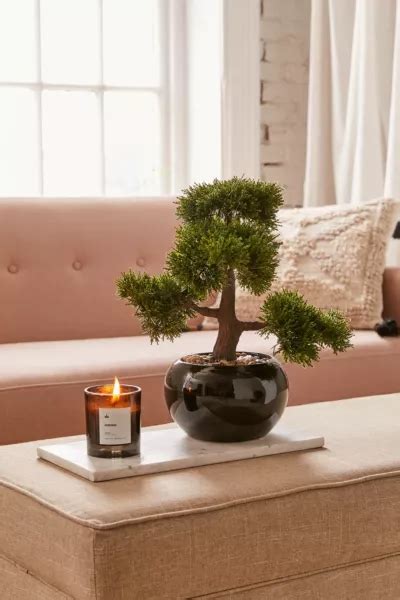 Round Faux Bonsai Tree | Urban Outfitters Canada