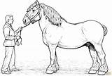 Free Horse Color Pages  Activity Shelter sketch template