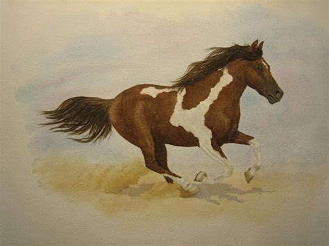 Pinto Horse Painting at PaintingValley.com | Explore collection of ...