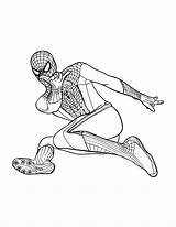 Free Printable Spiderman Coloring Pages For Kids sketch template