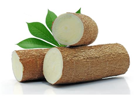 Overview and Applications of Cassava Flour - Tradelink International