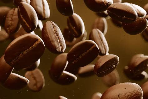 14 Best Arabica Coffee Brands To Try: The Ultimate Guide (2024)