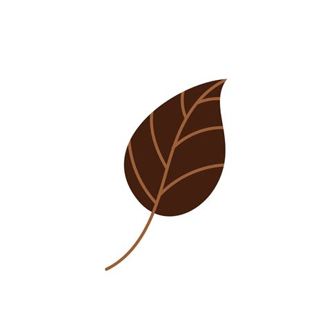 Brown fallen autumn leaf . Vector illustration 3316394 Vector Art at Vecteezy