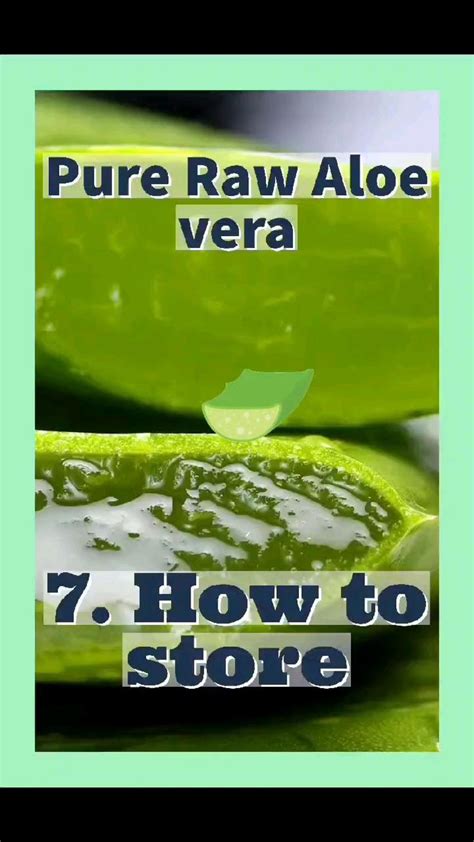 Aloe vera: How to store for longer storage life | Pinterest