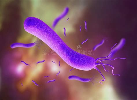 3D Illustration of E Coli Bacteria. Spirilla Bacteria. Stock ...