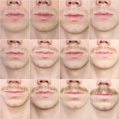 Mustache growing stock image. Image of close, scene, clean - 12631985