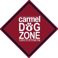 Certified Carmel Dog Trainer | Carmel Dog and Puppy Training