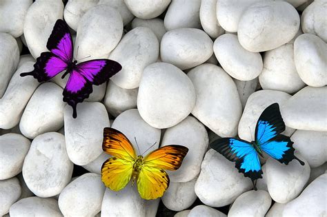 HD wallpaper: Artistic, Butterfly, Rock, Stone | Wallpaper Flare