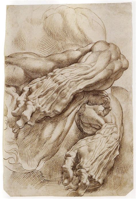 Rubens, i love how much detail he used | Peter paul rubens, Master drawing, Rubens