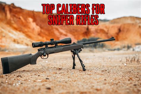 Top 10 Best Sniper Rifle Cartridges | True Shot Ammo