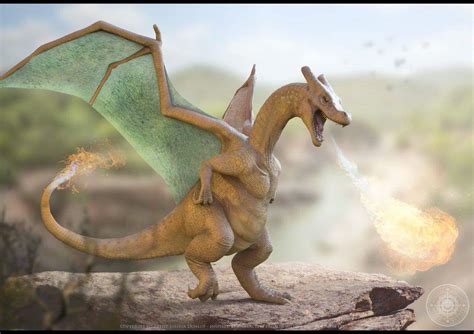 Pokemon Real Life Charizard