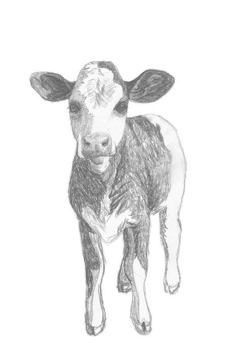 Farm animal art sketch set of 4 prints, Modern farmhouse artwork print ...