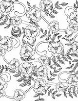 Coloring Book On Behance sketch template