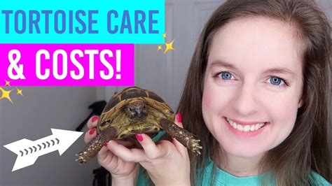 Tortoise Care, Setup & Costs - YouTube