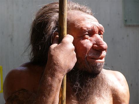 50 Surprising Neanderthal Facts About These Extinct Humans