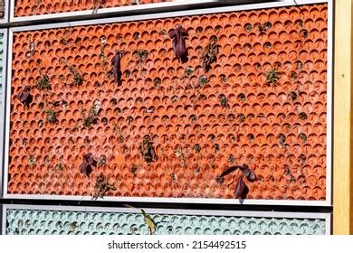 604 Beehive Wall Home Images, Stock Photos & Vectors | Shutterstock