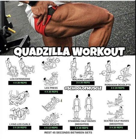 Las mejores 8 ideas de biceps femoral | ejercicios para piernas, ejercicios de entrenamiento ...