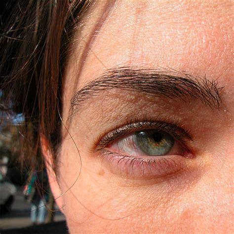 DSCN5386 Green Eyes | This picture PROVES that Carrie's eyes… | Flickr