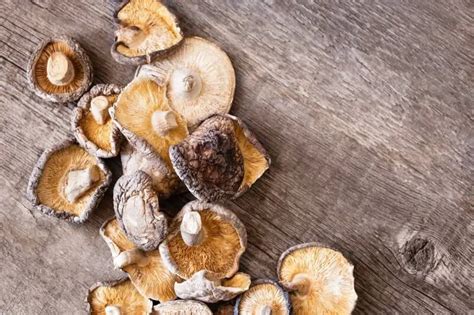 An Essential Guide to Buying Dried Mushrooms