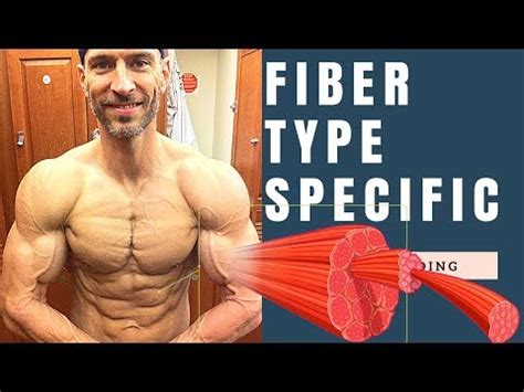 What Muscle Fiber Type Method for Weight Training - Fitness Tips | 2023