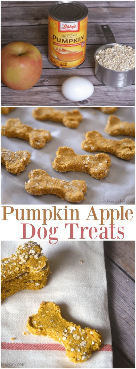 Pumpkin Apple Dog Treats - Three Little Ferns - Family Lifestyle Blog