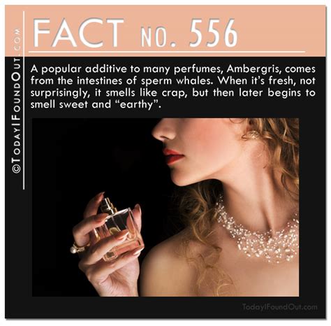 20 Random Amazing Facts