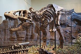 Cretaceous–Paleogene extinction event - Wikipedia