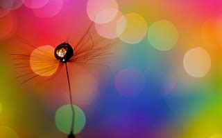 Colored Droplets | Made with Photoshop software. | Faye Mozingo | Flickr