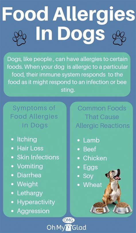 What Dog Owners Ought to Know About Dog Food Allergy Diet | Dog food allergies, Foods dogs can ...
