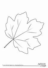 Oak Leaves Coloring Pages Printable Sketch Page sketch template
