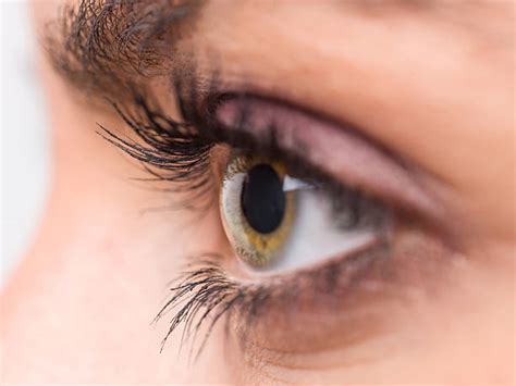 Human Eye Close Up Eyeball Side View Pictures, Images and Stock Photos - iStock