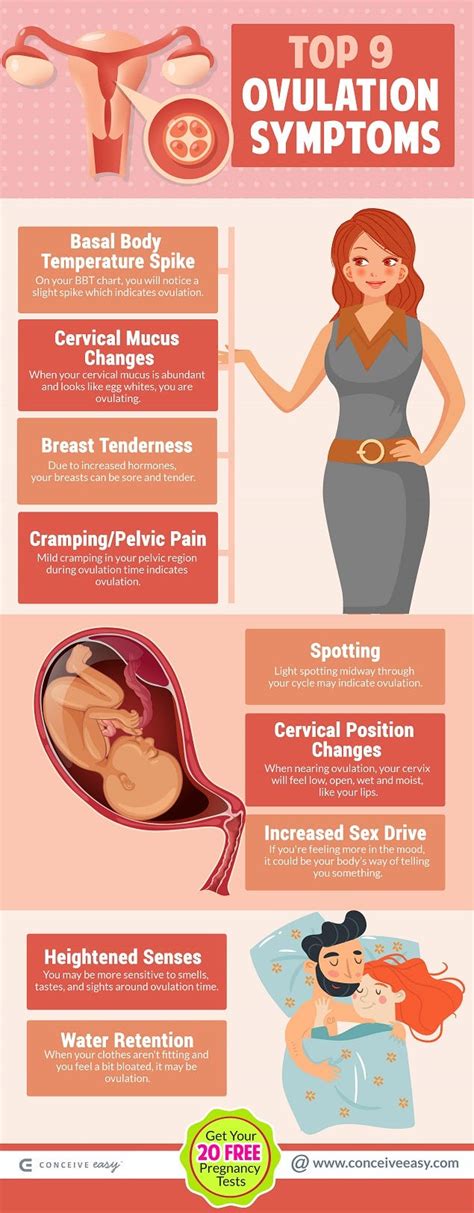 Top 9 Ovulation Symptoms Infographic | by Conceive Easy | Medium