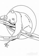 Free & Easy To Print Panda Coloring Pages  Tulamama sketch template