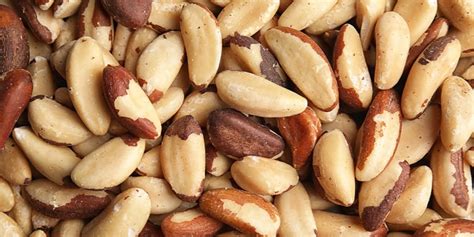 Top Health Benefits Of Brazil Nuts | HealthNews