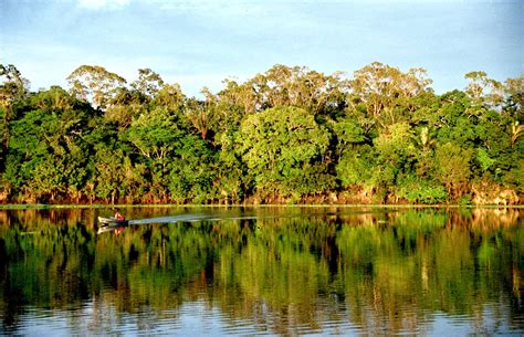 The Pirahã language - Laura Domine