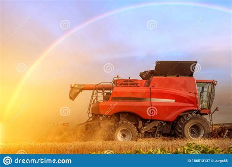 Red Combine Harvester is Working during Harvest Time in the Farmer’s ...