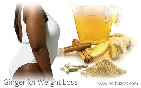 Ginger for Weight Loss | HerbaZest