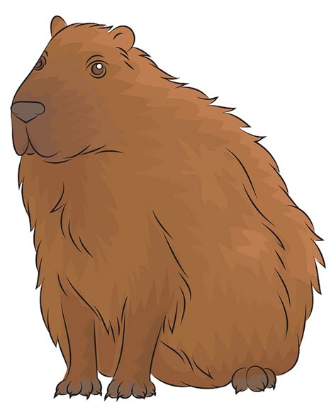 Capybara Clip Art Cute