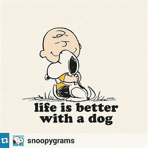 Snoopy | Snoopy quotes, Snoopy, Snoopy store