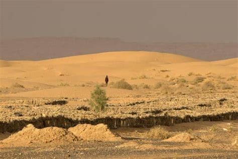 Sahara Desert was 10 times as wet as today, says study