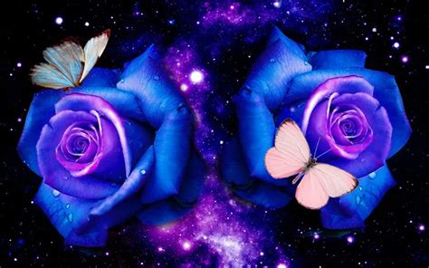 Blue and Purple Flowers and Butterfly Wallpapers - Top Free Blue and Purple Flowers and ...